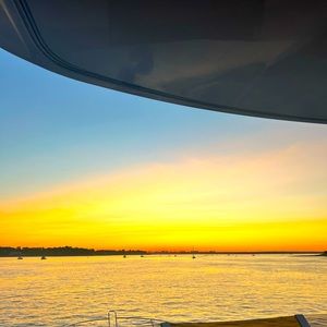 Meet your Posher, Rose